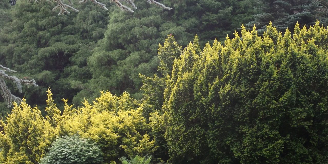 Where natural rhythms prevail and refresh